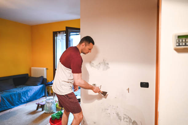 Best Crawl Space Mold Removal  in Floral Park, NY